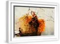White Frame