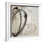 White Frame