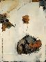 Laminate