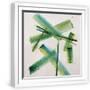 White Frame