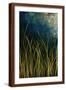 Brown Frame
