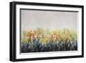 Black Frame