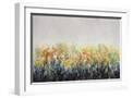 White Frame