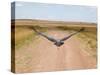 Karibu over a Dirt Road, Masai Mara Wildlife Reserve, Kenya-Vadim Ghirda-Stretched Canvas