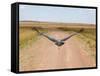 Karibu over a Dirt Road, Masai Mara Wildlife Reserve, Kenya-Vadim Ghirda-Framed Stretched Canvas