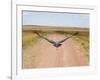 Karibu over a Dirt Road, Masai Mara Wildlife Reserve, Kenya-Vadim Ghirda-Framed Photographic Print