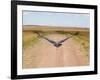 Karibu over a Dirt Road, Masai Mara Wildlife Reserve, Kenya-Vadim Ghirda-Framed Photographic Print