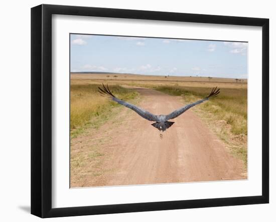 Karibu over a Dirt Road, Masai Mara Wildlife Reserve, Kenya-Vadim Ghirda-Framed Photographic Print