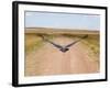 Karibu over a Dirt Road, Masai Mara Wildlife Reserve, Kenya-Vadim Ghirda-Framed Photographic Print