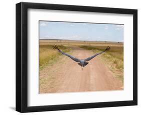 Karibu over a Dirt Road, Masai Mara Wildlife Reserve, Kenya-Vadim Ghirda-Framed Photographic Print