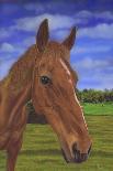 Field Horse-Karie-Ann Cooper-Giclee Print