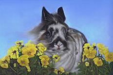 Flower Power Bunny-Karie-Ann Cooper-Giclee Print