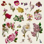 Vintage Victorian Flowers Clip Art-Karimala-Stretched Canvas