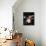 Karin Dor-null-Framed Stretched Canvas displayed on a wall