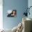 Karin Dor-null-Mounted Photo displayed on a wall