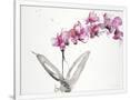 Gramercy White