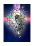 Cosmic Peacock-Karin Roberts-Stretched Canvas