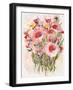 Karin's Garden 4-Karin Johannesson-Framed Art Print