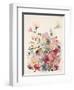 Karin's Garden 5-Karin Johannesson-Framed Art Print