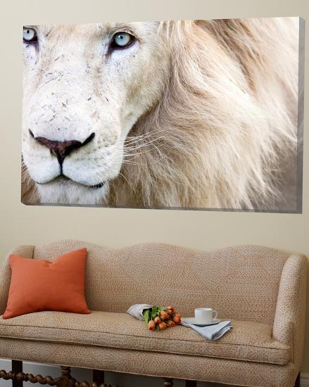 Loft Art, , large