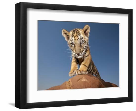 Premium Photographic Print, , large