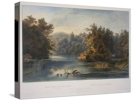 Stretched Canvas Print, , large