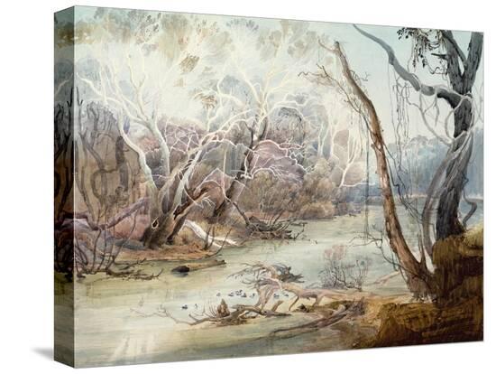 Stretched Canvas Print, , large