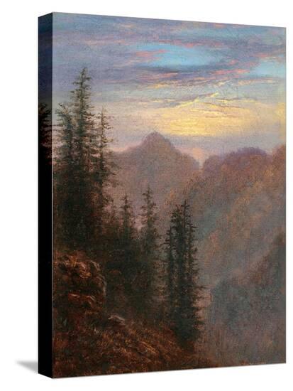 Stretched Canvas Print, , large
