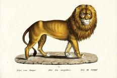 Senegal Lion, 1824-Karl Joseph Brodtmann-Giclee Print