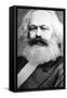 Karl Marx, German Political, Social and Economic Theorist, 19th Century-null-Framed Stretched Canvas