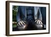 Karl Marx Statue's Hands, Berlin, Germany-Felipe Rodriguez-Framed Photographic Print