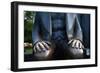 Karl Marx Statue's Hands, Berlin, Germany-Felipe Rodriguez-Framed Photographic Print