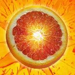A Slice of Blood Orange-Karl Newedel-Photographic Print