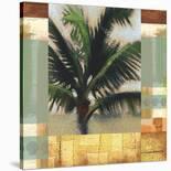 Date Palm-Karl Rattner-Stretched Canvas