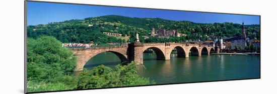 Karl-Theodor Bridge Heidelberg Germany-null-Mounted Photographic Print