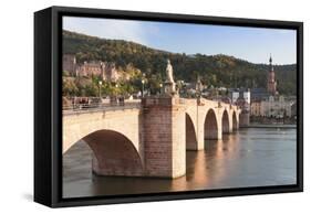 Karl Theodor Bridge with Stadttor Gate-Markus-Framed Stretched Canvas