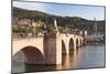 Karl Theodor Bridge with Stadttor Gate-Markus-Mounted Photographic Print