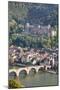 Karl Theodor Bridge with Stadttor Gate-Markus-Mounted Photographic Print