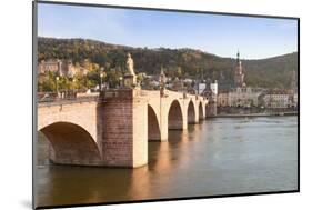 Karl Theodor Bridge with Stadttor Gate-Markus-Mounted Photographic Print