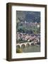 Karl Theodor Bridge with Stadttor Gate-Markus-Framed Photographic Print