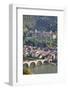 Karl Theodor Bridge with Stadttor Gate-Markus-Framed Photographic Print