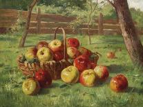 Apple Harvest-Karl Vikas-Framed Stretched Canvas