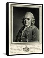 Karl Von Linné, 1884-90-null-Framed Stretched Canvas