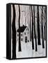 Canvas Black