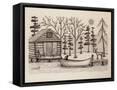 Framed Canvas
