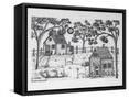 Framed Canvas