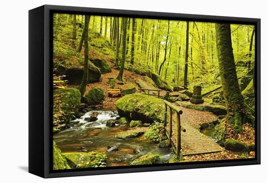 Karlstal Gorge, Near Trippstadt, Palatinate Forest, Rhineland-Palatinate, Germany, Europe-Jochen Schlenker-Framed Stretched Canvas