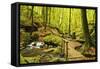 Karlstal Gorge, Near Trippstadt, Palatinate Forest, Rhineland-Palatinate, Germany, Europe-Jochen Schlenker-Framed Stretched Canvas