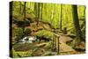 Karlstal Gorge, Near Trippstadt, Palatinate Forest, Rhineland-Palatinate, Germany, Europe-Jochen Schlenker-Stretched Canvas