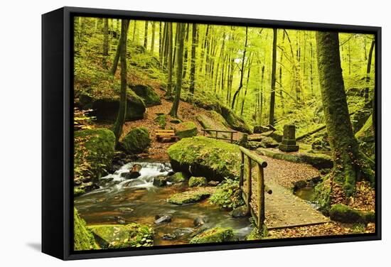 Karlstal Gorge, Near Trippstadt, Palatinate Forest, Rhineland-Palatinate, Germany, Europe-Jochen Schlenker-Framed Stretched Canvas